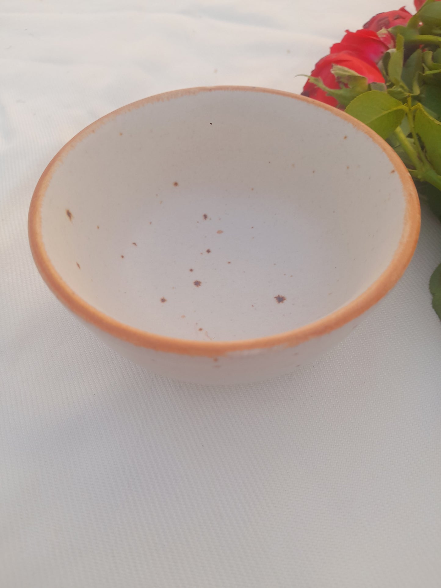 Rust Rimmed Speckled Ceramic Vegetable Bowl