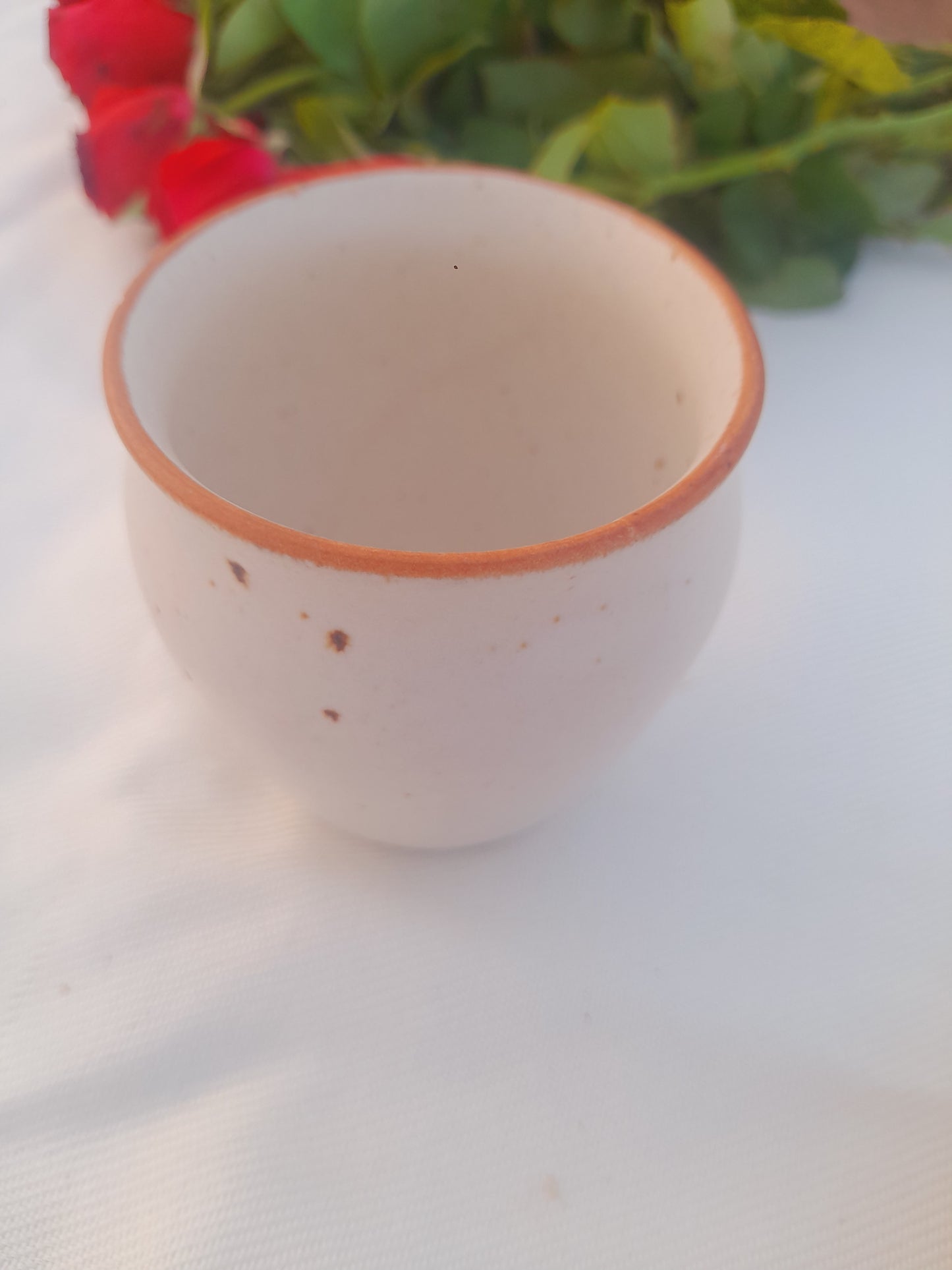 Rust Rimmed Speckled Ceramic Kulhad.1