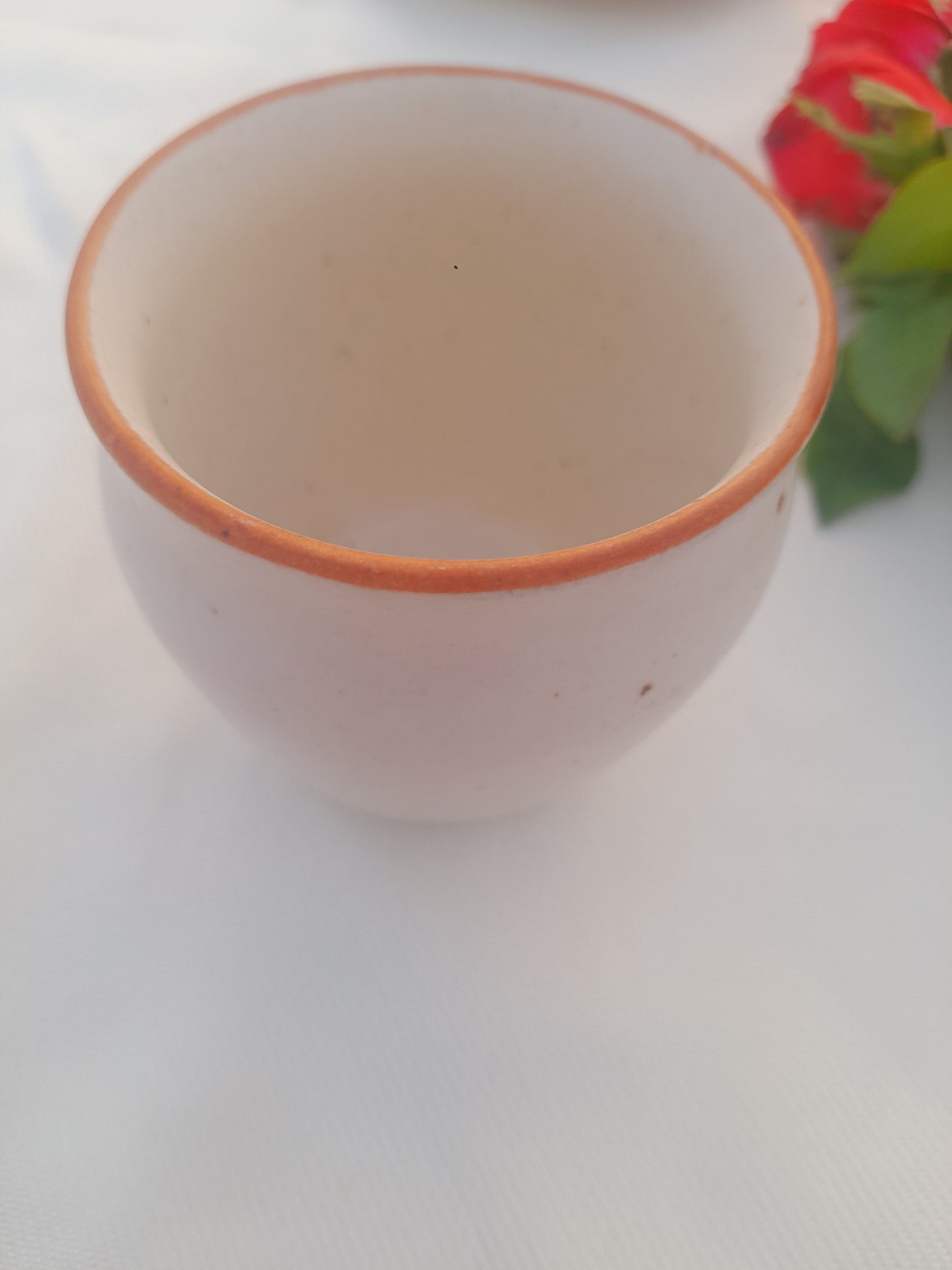 Rust Rimmed Speckled Ceramic Kulhad.2