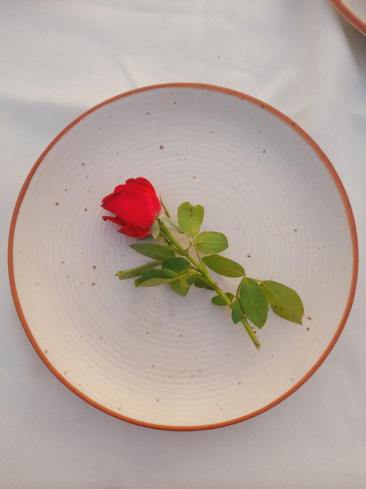 Rust Rimmed Speckled Ceramic Quarter Plate.3